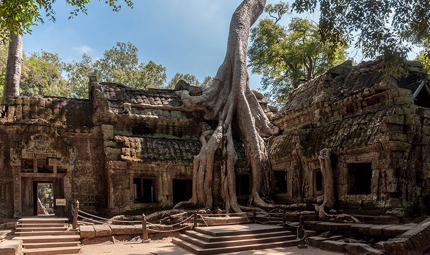 Ta Prohm Temple