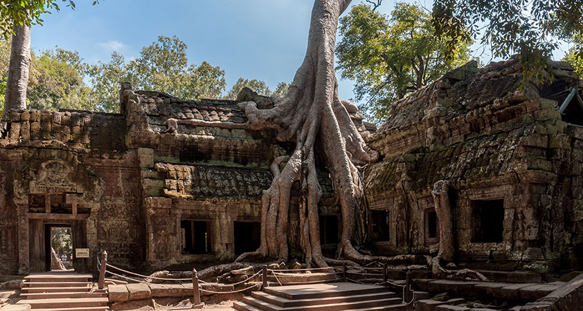 Ta Prohm Temple