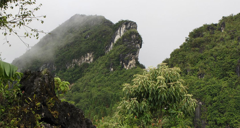 Ham Rong moutain
