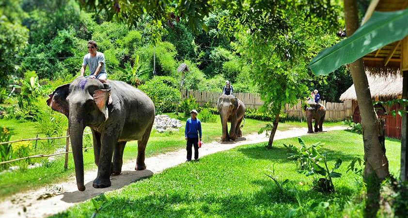 Luang Prabang Elephant Camp