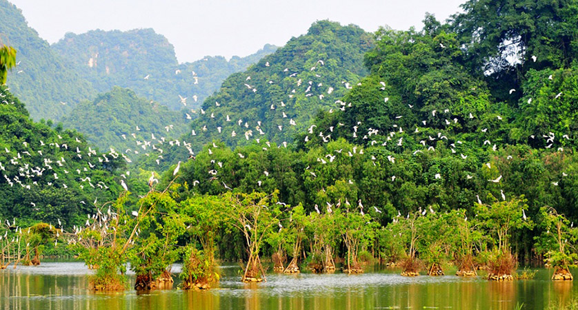 Linh Coc Hai Nham