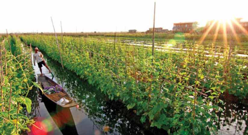Admire the stunning view on poetic Inle Lake