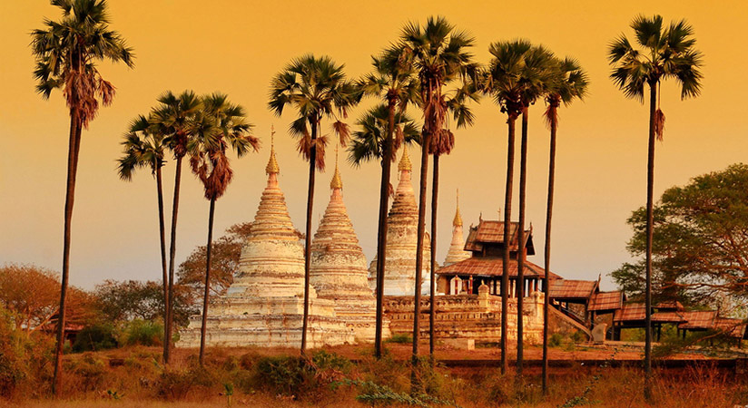 Visit the traditional villages near the river where farmers climb the palm trees to get the juice from which they produce palm tree sugar in Palloku