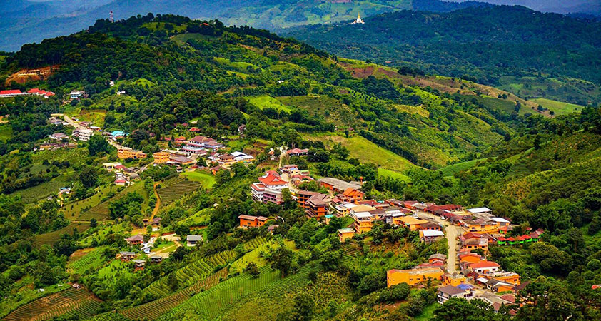 Doi Mae Salong