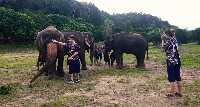 Kanta Elephant Sanctuary