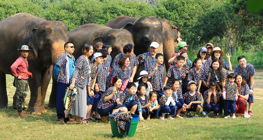 Kanta Elephant Sanctuary