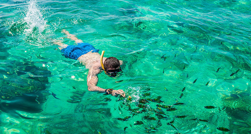 Snorkeling near Long Beach