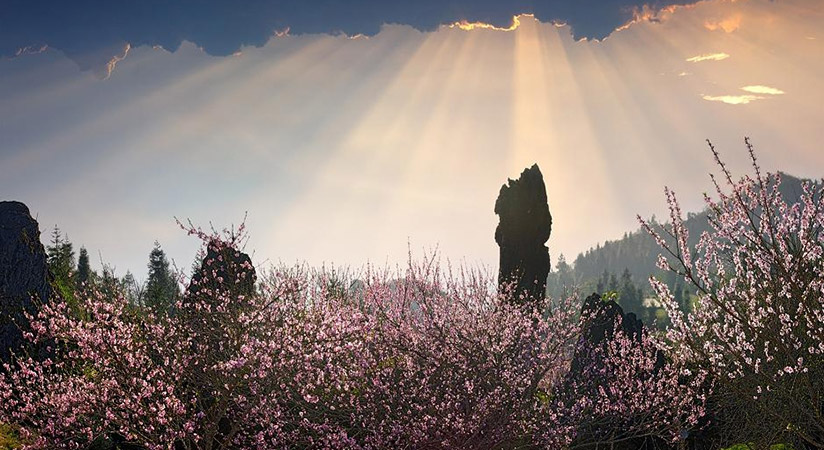 Ham Rong mountain in the spring mountain