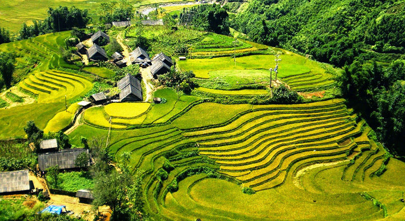The whole view of Muong Hoa village
