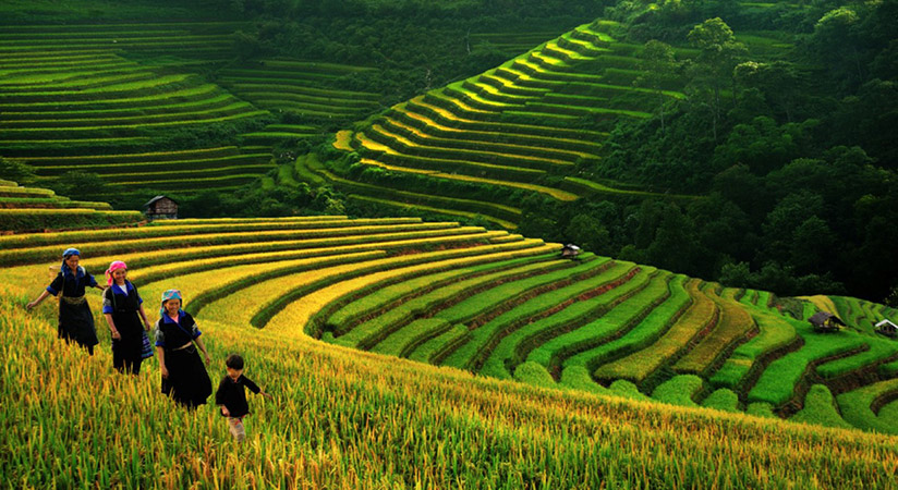 Visitors can spend the last day in Sapa going around and exchanging with locals