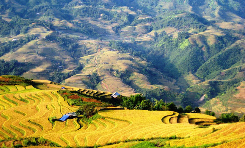 The beauty of Sapa