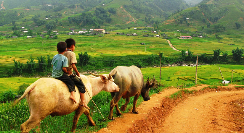 Visitors can make a visit to Ta Van village