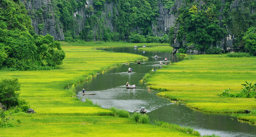 Linh Coc Hai Nham