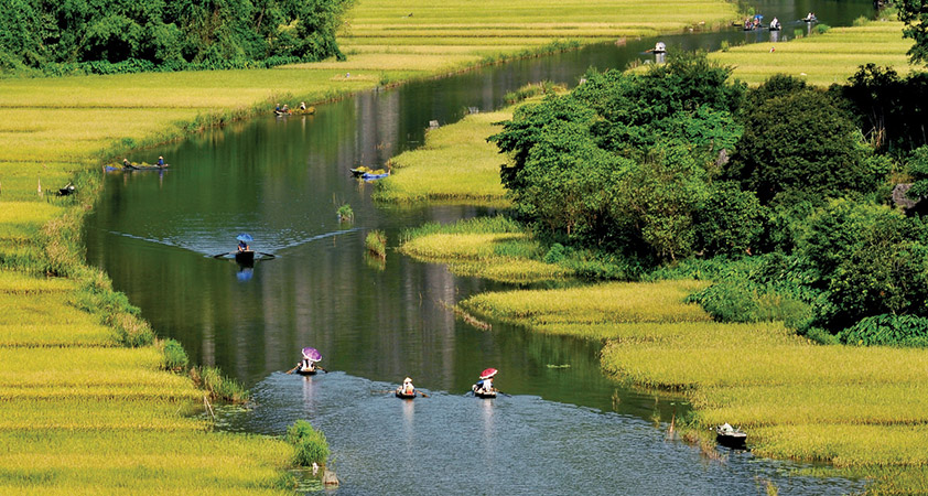 Linh Coc Hai Nham