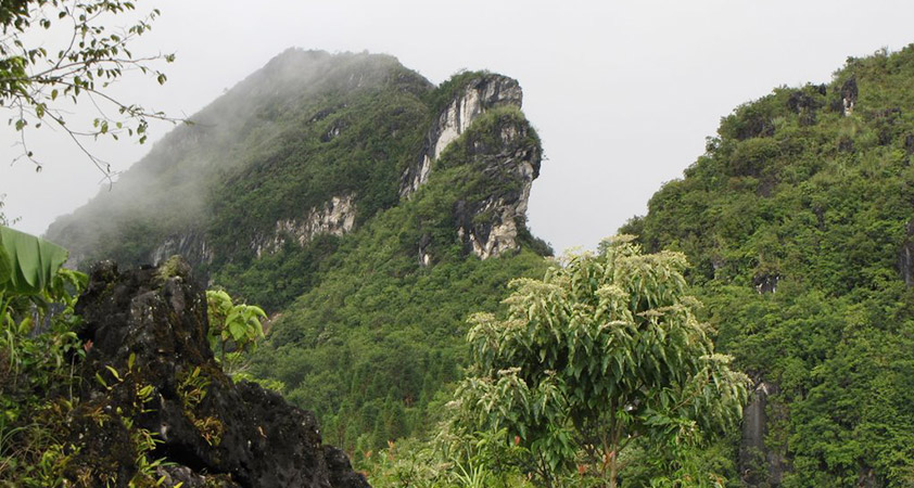 Ham Rong Mountain