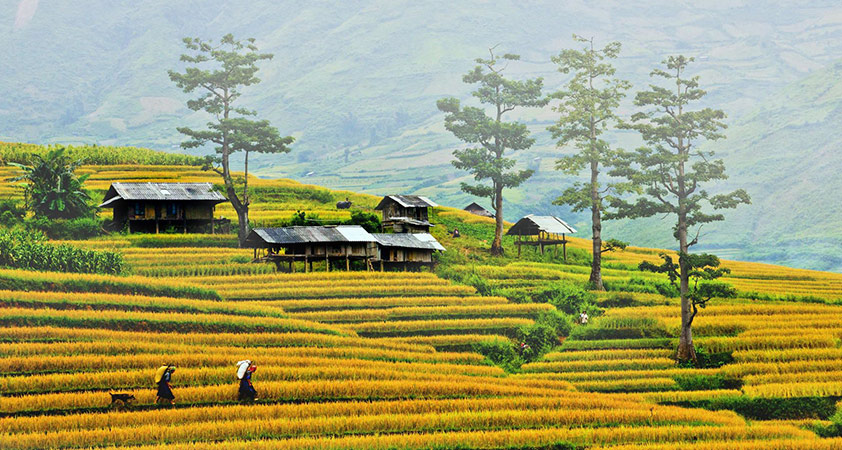 Lao Chai - Ta Van