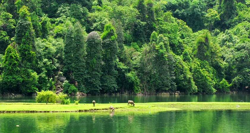 Ba Be National Park