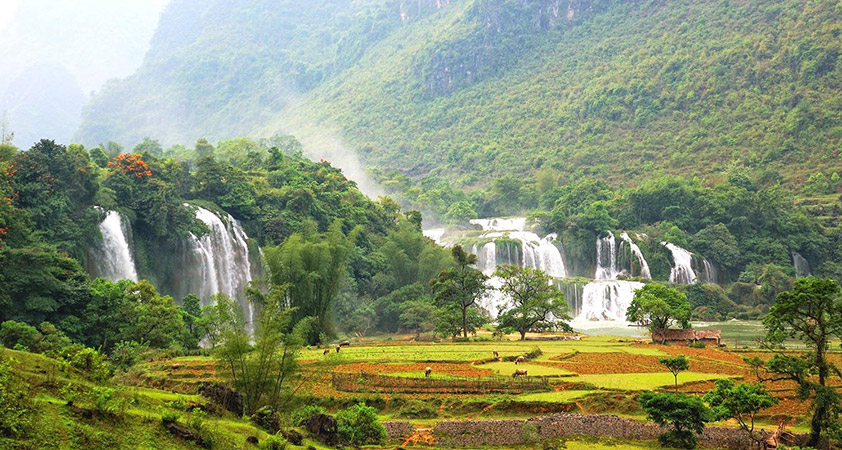 ??? Mai Chau??valley  ???