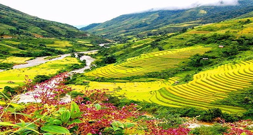 Sapa Valley