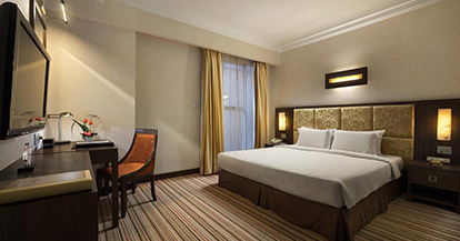 Deluxe Double or Twin Room