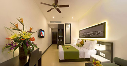  Superior Double or Twin Room