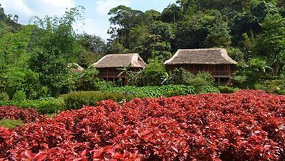 Ecolodge Pan Hou Village