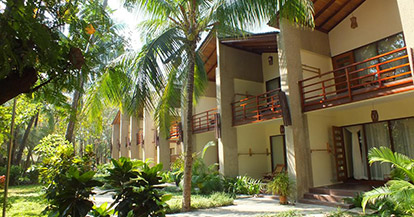 Deluxe Double or Twin Room with Garden View