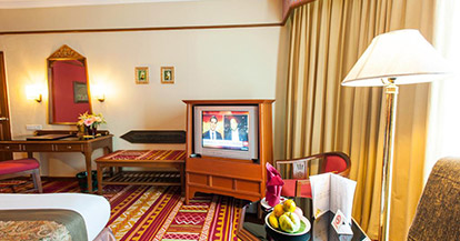 Superior Double or Twin Room