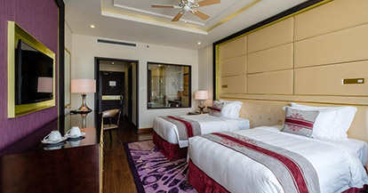 Deluxe Twin Room with City View