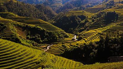 Do Gu Homestay Yen Bai