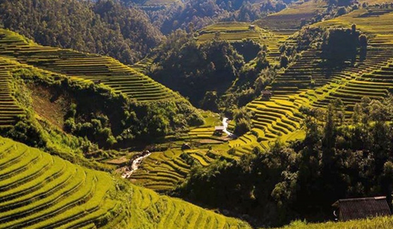 Do Gu Homestay Yen Bai