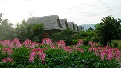 Phou Iu II Bungalows Muang Sing Luang Namtha
