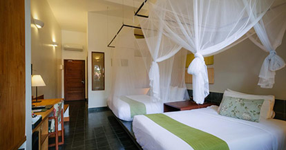  Deluxe Double Room - Poolside