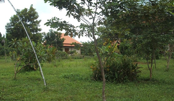 Green Plateau Lodge