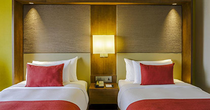  Superior Double or Twin Room - Non-Smoking