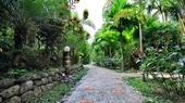 The Hotel Khaosok and Spa