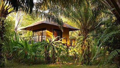 Anurak Community Lodge Khaosok