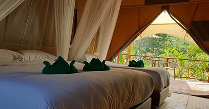  Tent
