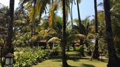 Yoma Cherry Lodge Ngapali
