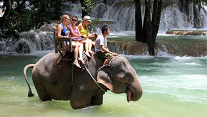 Elephant tour Luang Prabang | Elephant ride in Luang Prabang half day