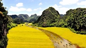 Full-Day-Hoa-Lu-Tam-Coc-Tour-1-Day-07