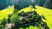 Full-Day-Hoa-Lu-Tam-Coc-Tour-1-Day-04