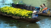 Holidays-in-HCM-city-Mekong-Vung-Tau-beach-5-days-4-nights-12