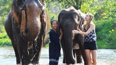 Amazing Travel to Thailand