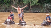 Elephant ride in Luang Prabang