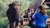 Cambodia Adventure Vacation