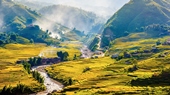 Sapa