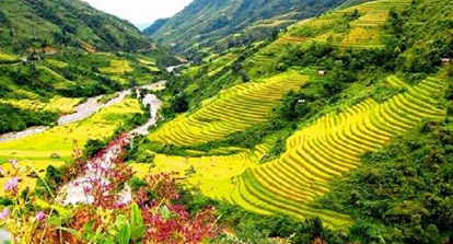 Best price of trekking tour Sapa from Hanoi by train | 4 days 3 nights