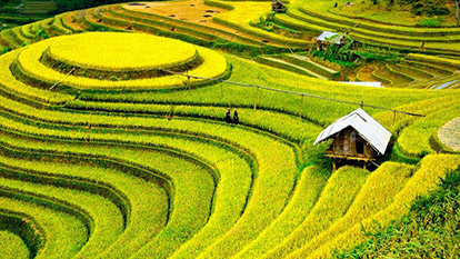 Breathtaking beauty of trekking tour in Sapa | 7 days 6 nights 