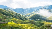 Sapa-Trekking-3-nights-in-home-stays-7-Days-6-Nights-02